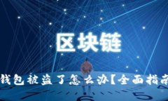 虚拟货币冷钱包被盗了怎么办？全面指南与解决