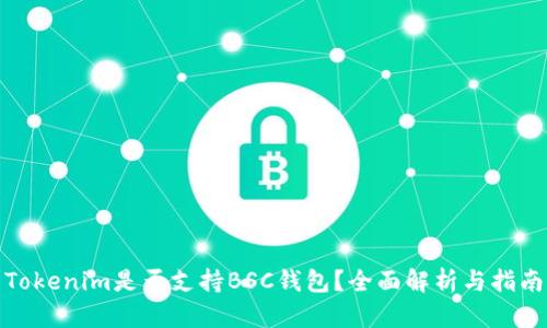 Tokenim是否支持BSC钱包？全面解析与指南