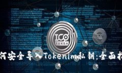 如何安全导入Tokenim私钥：全面指南