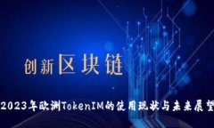 2023年欧洲TokenIM的使用现状与未来展望