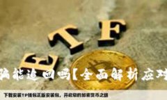 Tokenim转账被骗能追回吗？全面解析应对策略与风