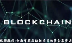 Tokenim视频教程：全面掌握区块链项目的资金募资