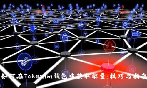 如何在Tokenim钱包中获取能量：技巧与指南