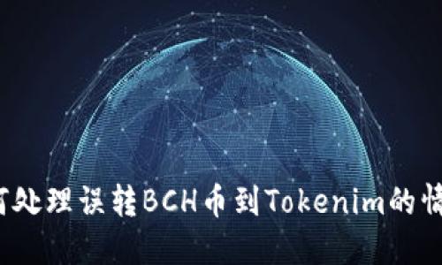 如何处理误转BCH币到Tokenim的情况？