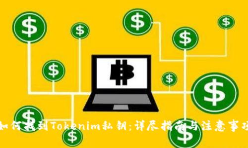 如何找到Tokenim私钥：详尽指南与注意事项