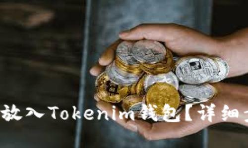 如何将FIL放入Tokenim钱包？详细步骤与指南