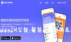 链通TokenIM公链：解锁区块链的无限可能