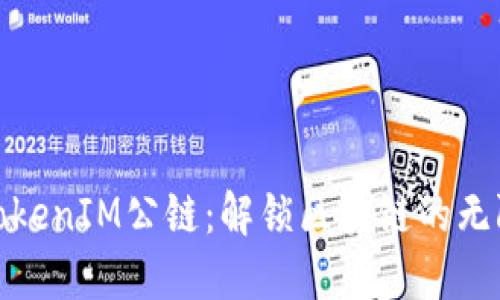 链通TokenIM公链：解锁区块链的无限可能