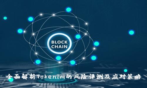 全面解析Tokenim的风险评测及应对策略