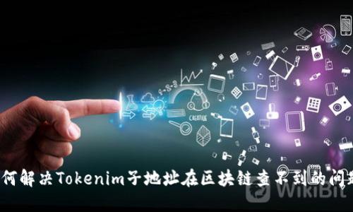 如何解决Tokenim子地址在区块链查不到的问题？