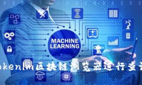 如何使用Tokenim区块链浏览器进行查询：全面指南