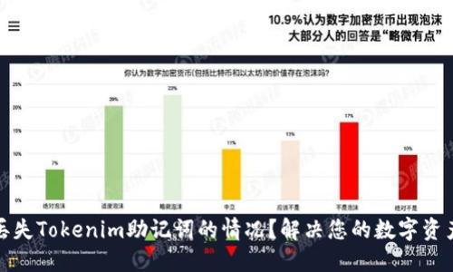 如何应对丢失Tokenim助记词的情况？解决您的数字资产安全之忧