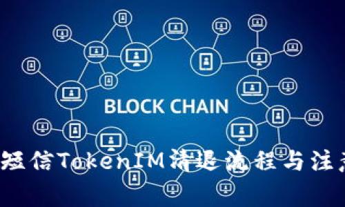  了解短信TokenIM清退流程与注意事项