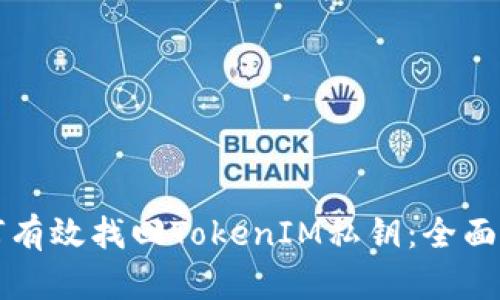 如何有效找回TokenIM私钥：全面指南