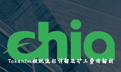 Tokenim提现流程详解及矿工费用解析