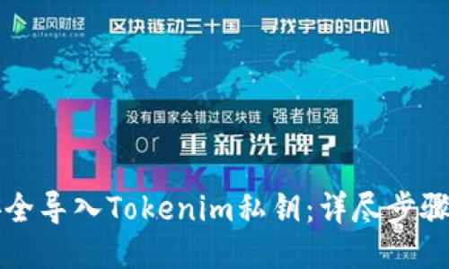 如何安全导入Tokenim私钥：详尽步骤与指南