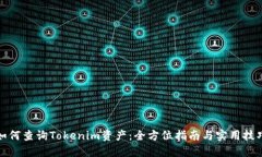 如何查询Tokenim资产：全方位指南与实用技巧