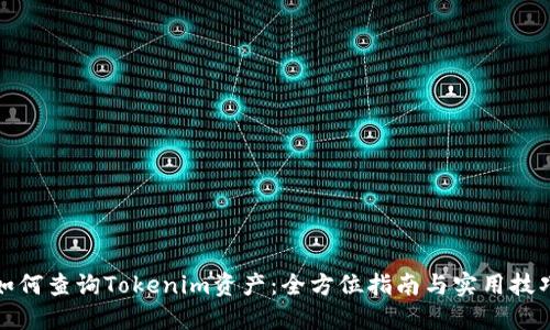 如何查询Tokenim资产：全方位指南与实用技巧