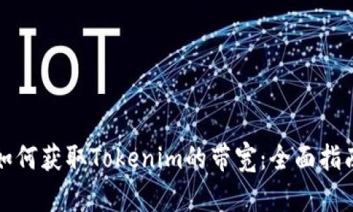 如何获取Tokenim的带宽：全面指南