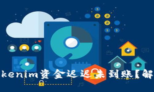 优质
为什么您的Tokenim资金迟迟未到账？解决方法与建议