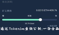 如何通过Tokenim查询公钥：一份全面指南