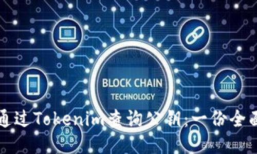 如何通过Tokenim查询公钥：一份全面指南