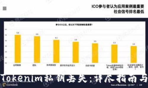  
如何应对Tokenim私钥丢失：详尽指南与解决方案