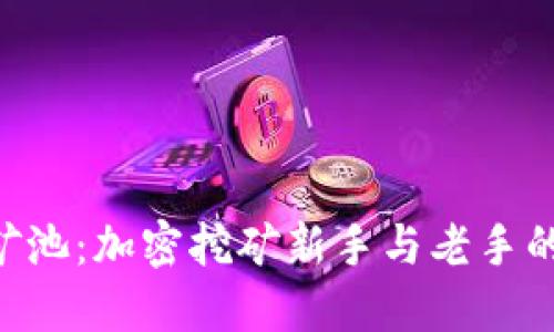 Tokenim矿池：加密挖矿新手与老手的最佳选择