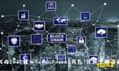 如何将IOST转入TokenPocket钱包：详细步骤与技巧