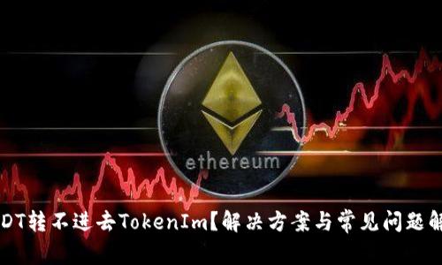 USDT转不进去TokenIm？解决方案与常见问题解析