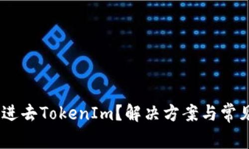 USDT转不进去TokenIm？解决方案与常见问题解析