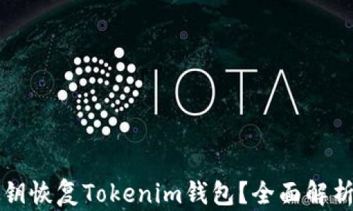 
如何通过私钥恢复Tokenim钱包？全面解析和实用指南