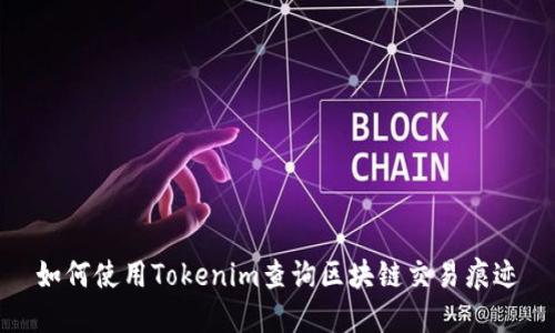 如何使用Tokenim查询区块链交易痕迹