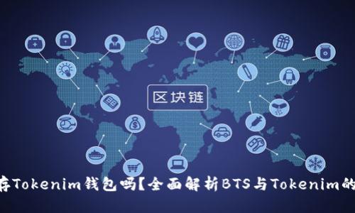 BTS能存Tokenim钱包吗？全面解析BTS与Tokenim的兼容性