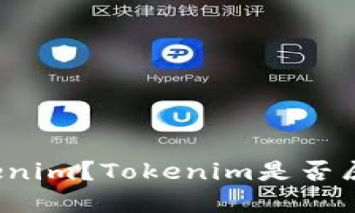 什么是Tokenim？Tokenim是否属于冷钱包？