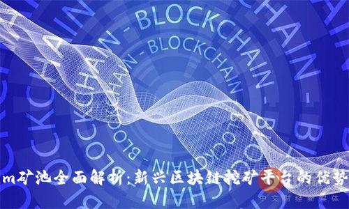 Tokenim矿池全面解析：新兴区块链挖矿平台的优势与不足