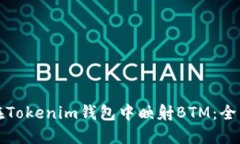 如何在Tokenim钱包中映射BTM：全面指南