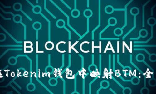 如何在Tokenim钱包中映射BTM：全面指南