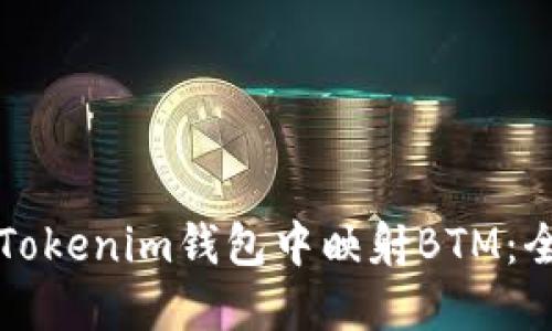 如何在Tokenim钱包中映射BTM：全面指南