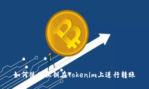 如何使用私钥在Tokenim上进行转账