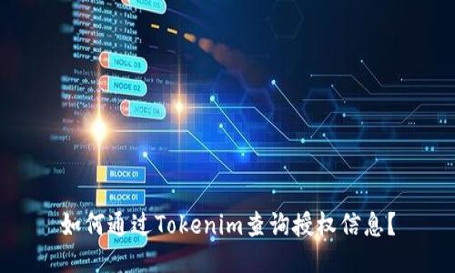 如何通过Tokenim查询授权信息？
