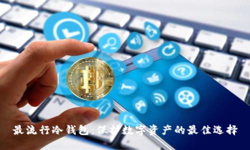 最流行冷钱包：保护数字资产的最佳选择