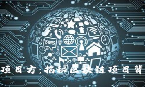 Tokenim项目方：揭秘区块链项目背后的力量