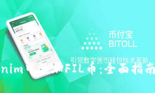 如何在Tokenim中添加FIL币：全面指南与实用技巧