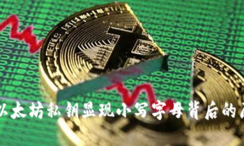 Tokenim钱包：以太坊私钥显现小写字母背后的原因与安全建议