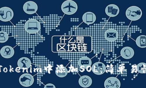 如何在Tokenim中添加SOL：简单易懂的指南