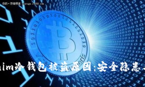 解析tokenim冷钱包被盗原因：安全隐患与防护策略