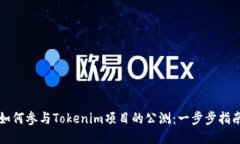 如何参与Tokenim项目的公测：一步步指南