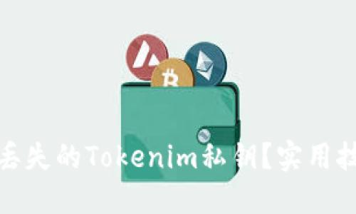 如何找回丢失的Tokenim私钥？实用技巧和建议