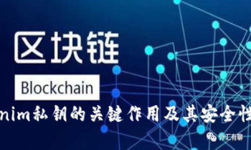 Tokenim私钥的关键作用及其安全性分析
